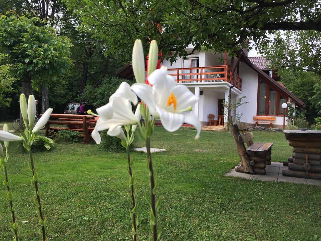 Hotel House Samardzic à Jezerce Extérieur photo