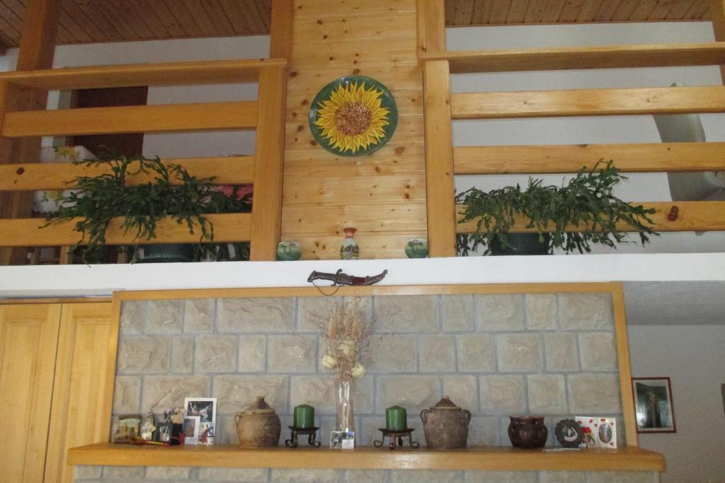 Hotel House Samardzic à Jezerce Extérieur photo